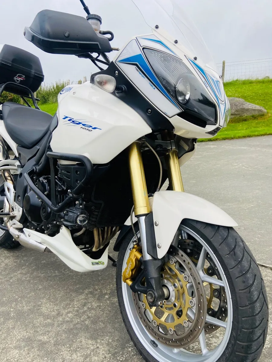 Triumph tiger 1050 - Image 3