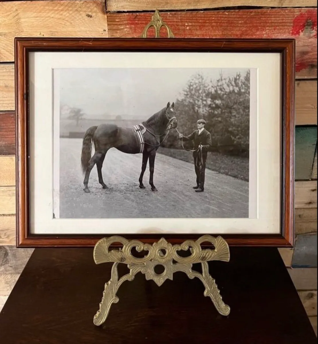 Framed racehorse photo