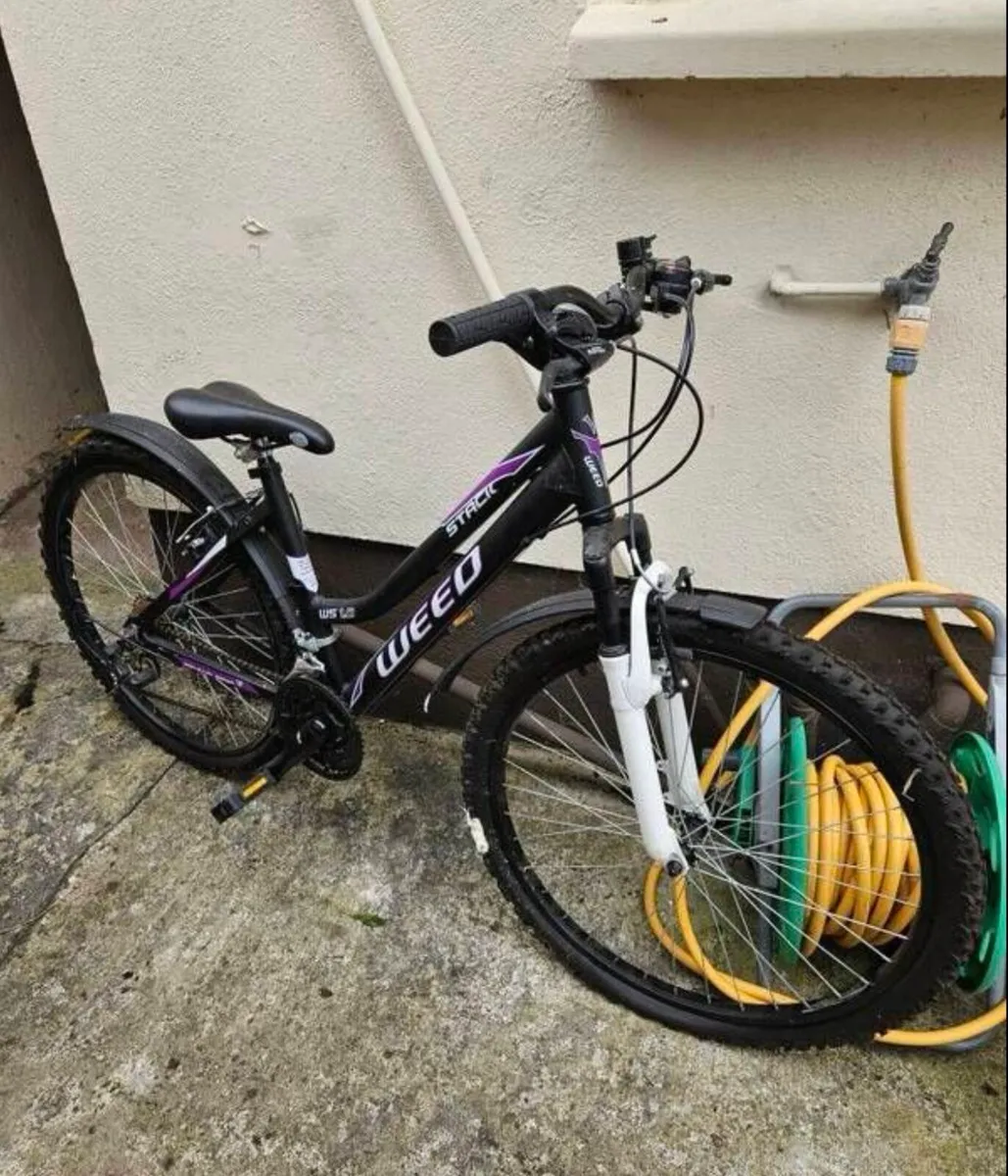 Adult bike - Image 1