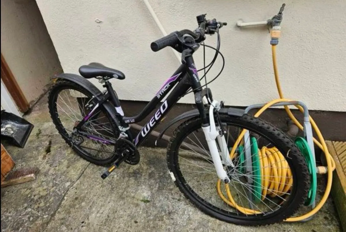 Adult bike - Image 2
