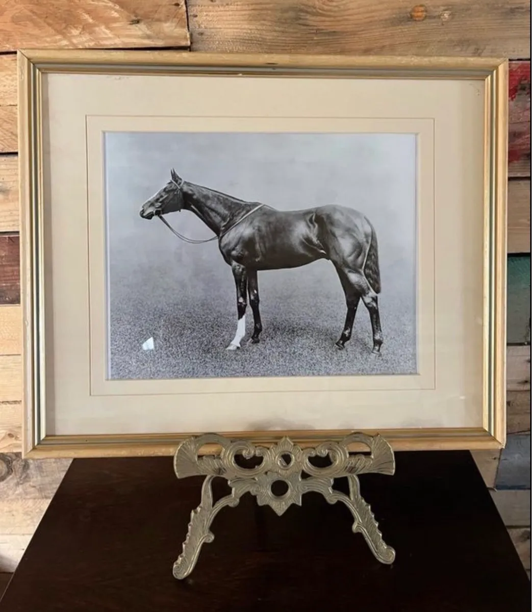 Framed racehorse photo