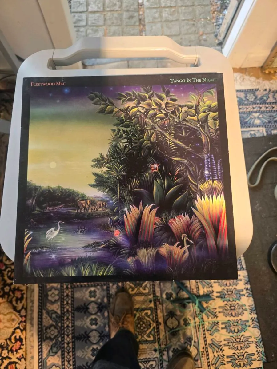 FLEETWOOD MAC VINYL - Image 1