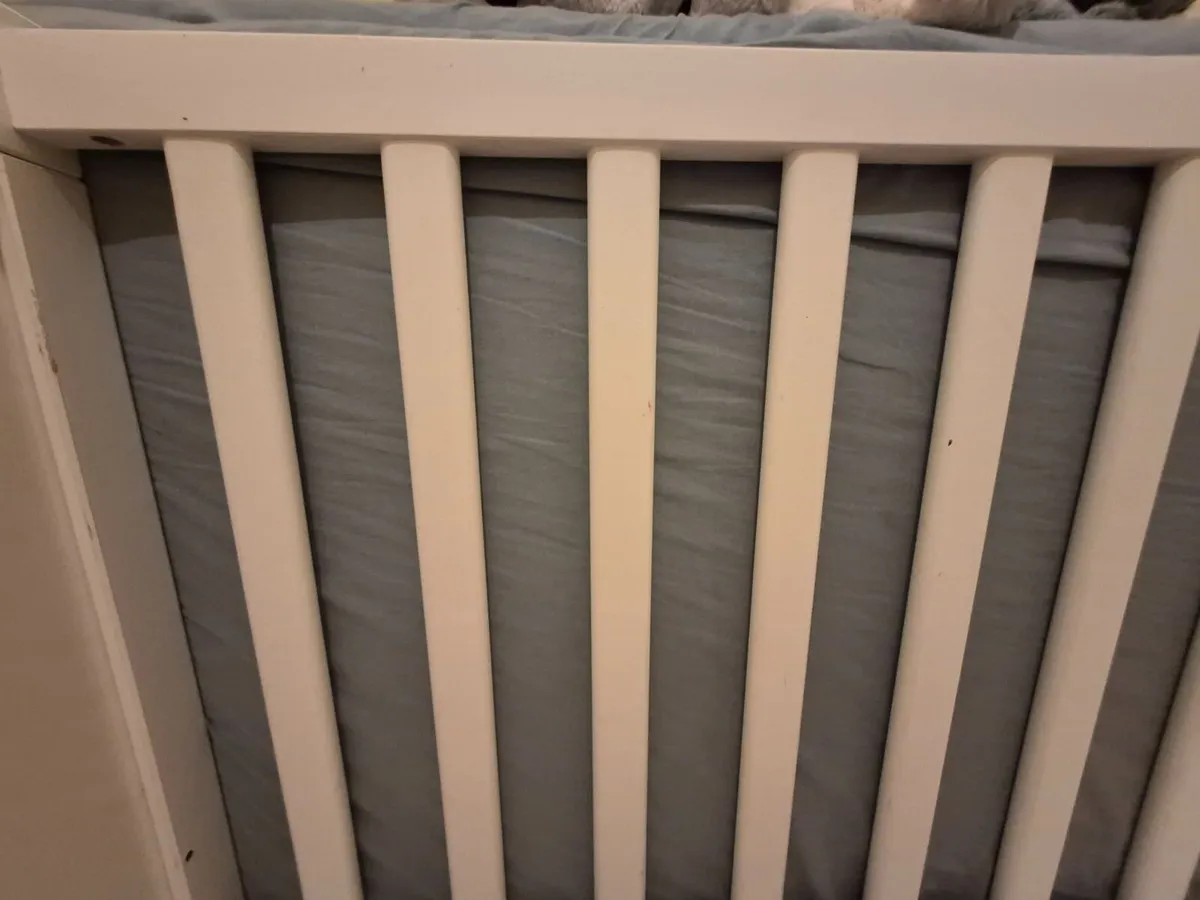 Toddler bed/ cot - Image 4