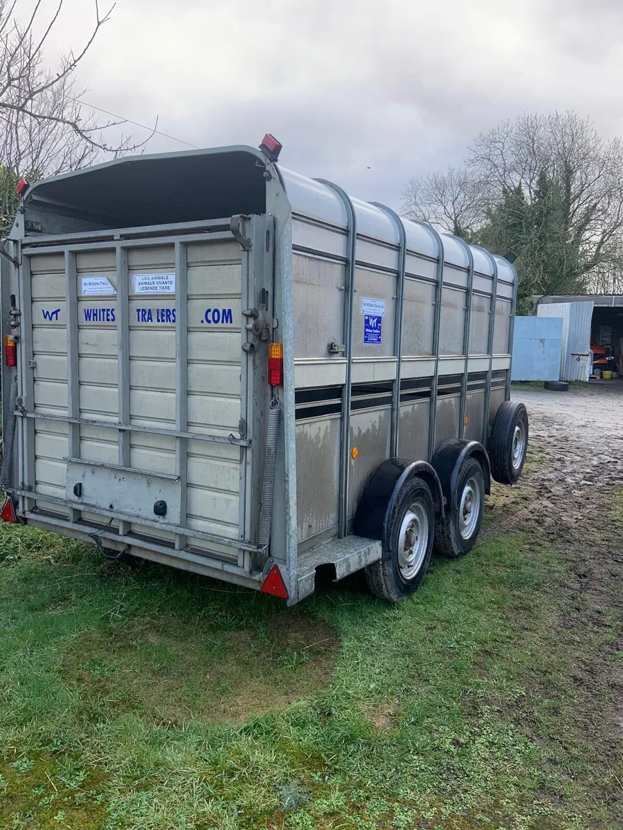 Cattle trailer - Image 2
