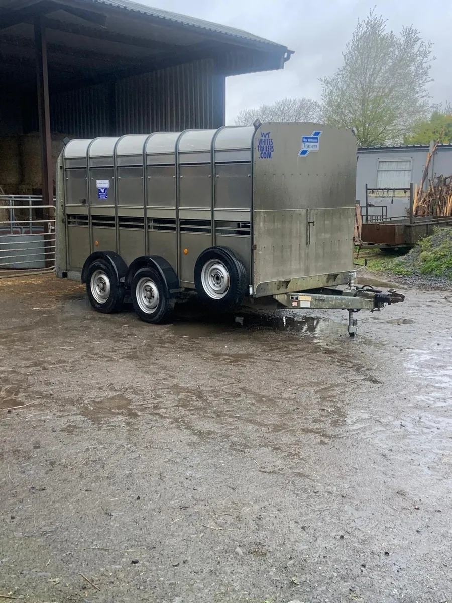 Cattle trailer - Image 1