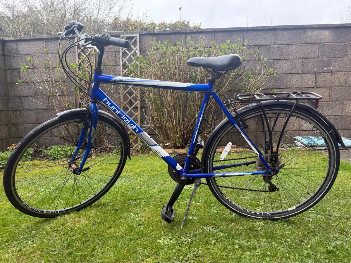Huntleigh Hyde Park Bike - Image 1