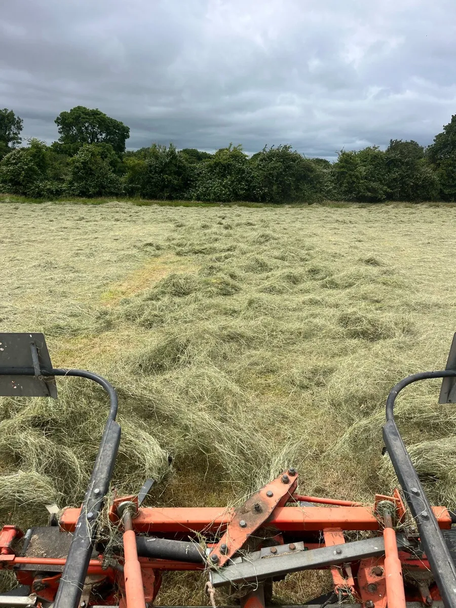 Small square Hay and Round - Image 3