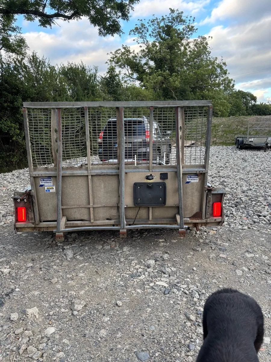 Ifor Williams 12x6 Tri axle plant trailer - Image 3