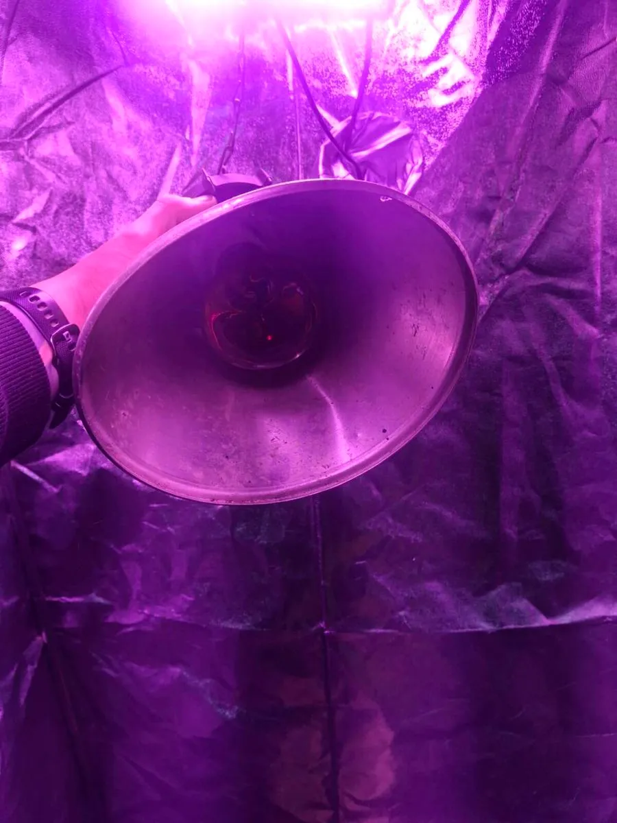 Grow tent - Image 3