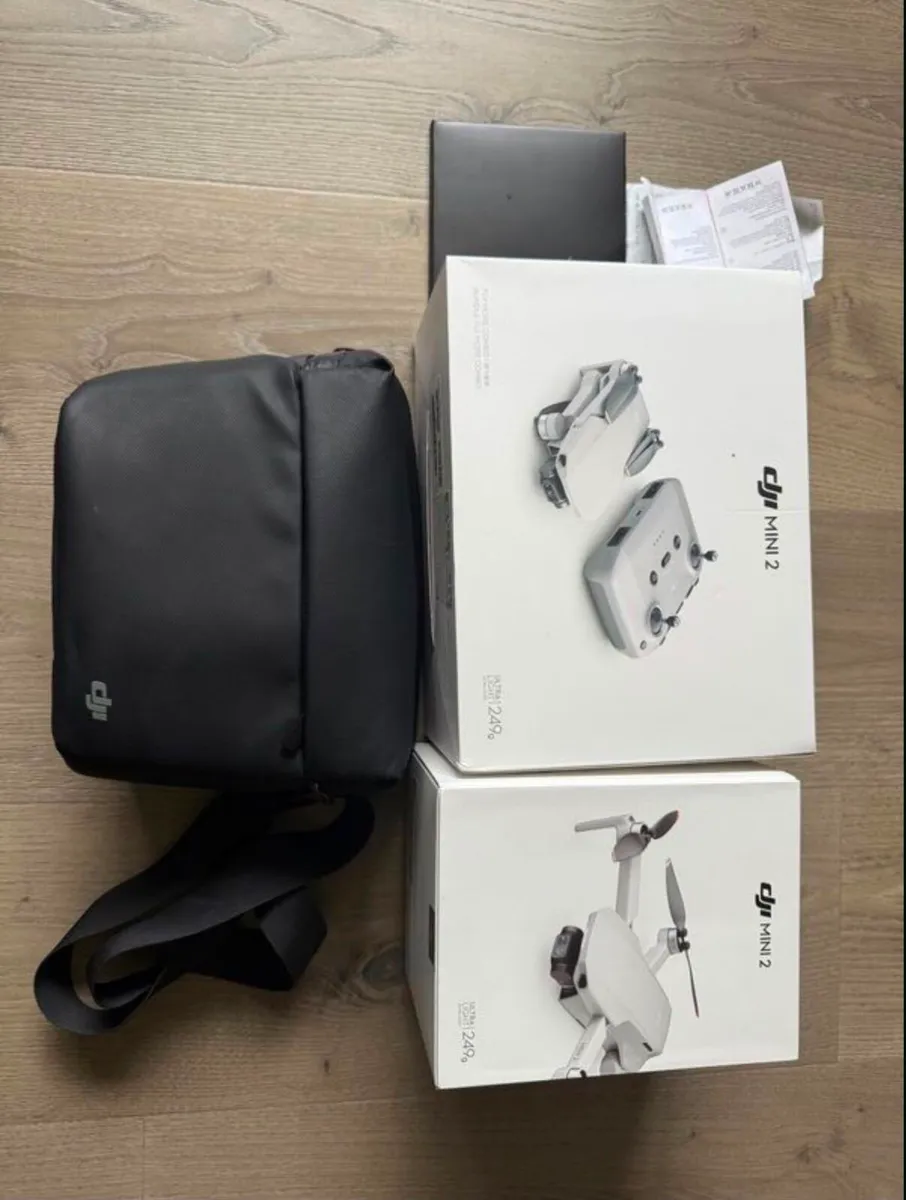 DJI Mini 2 Fly More Combo - Image 2