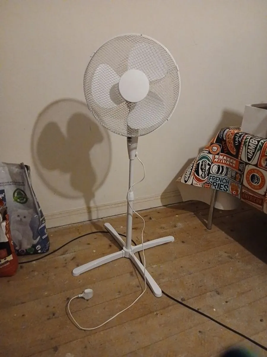 Fan