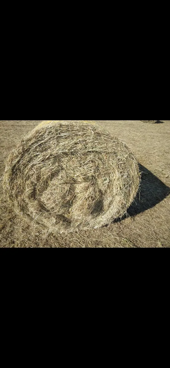 4x4 Round bales of Hay
