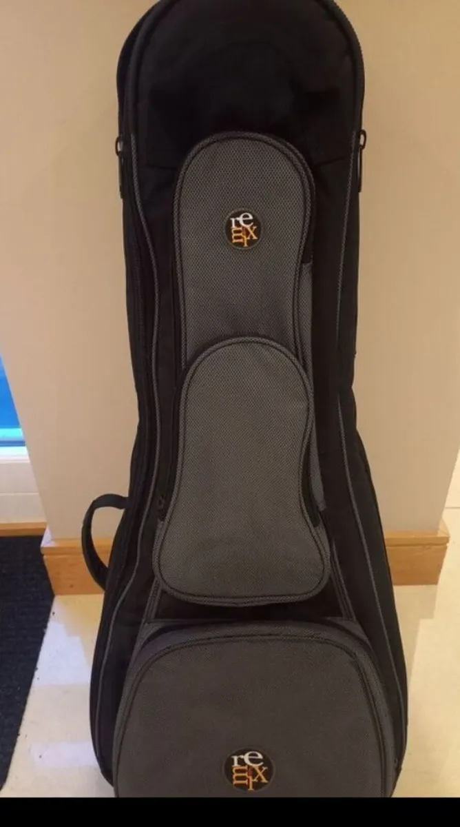 Guitar bag - Image 1