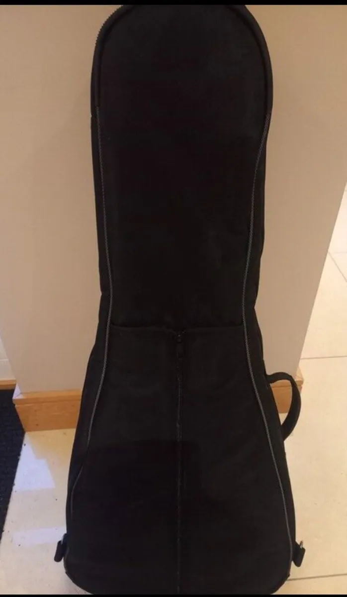 Guitar bag - Image 2