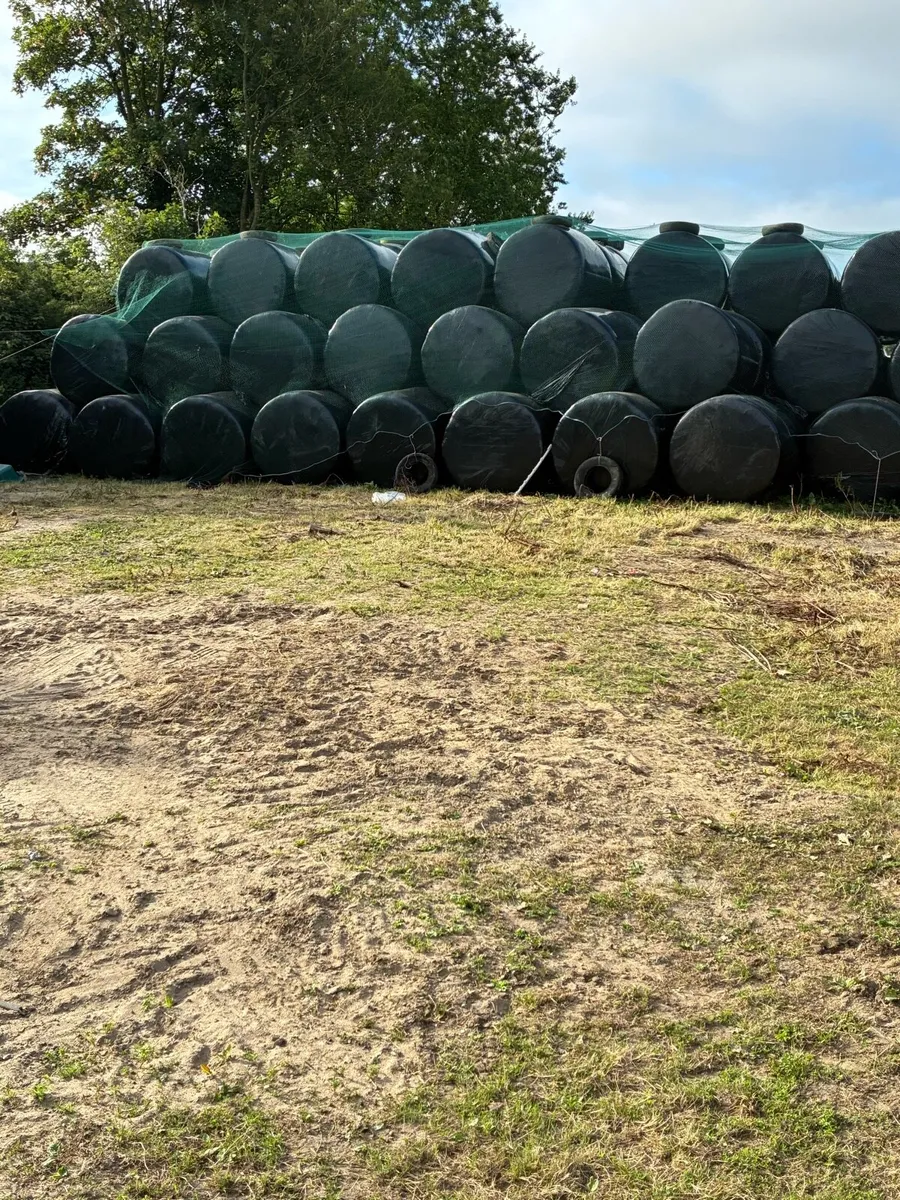 Haylage