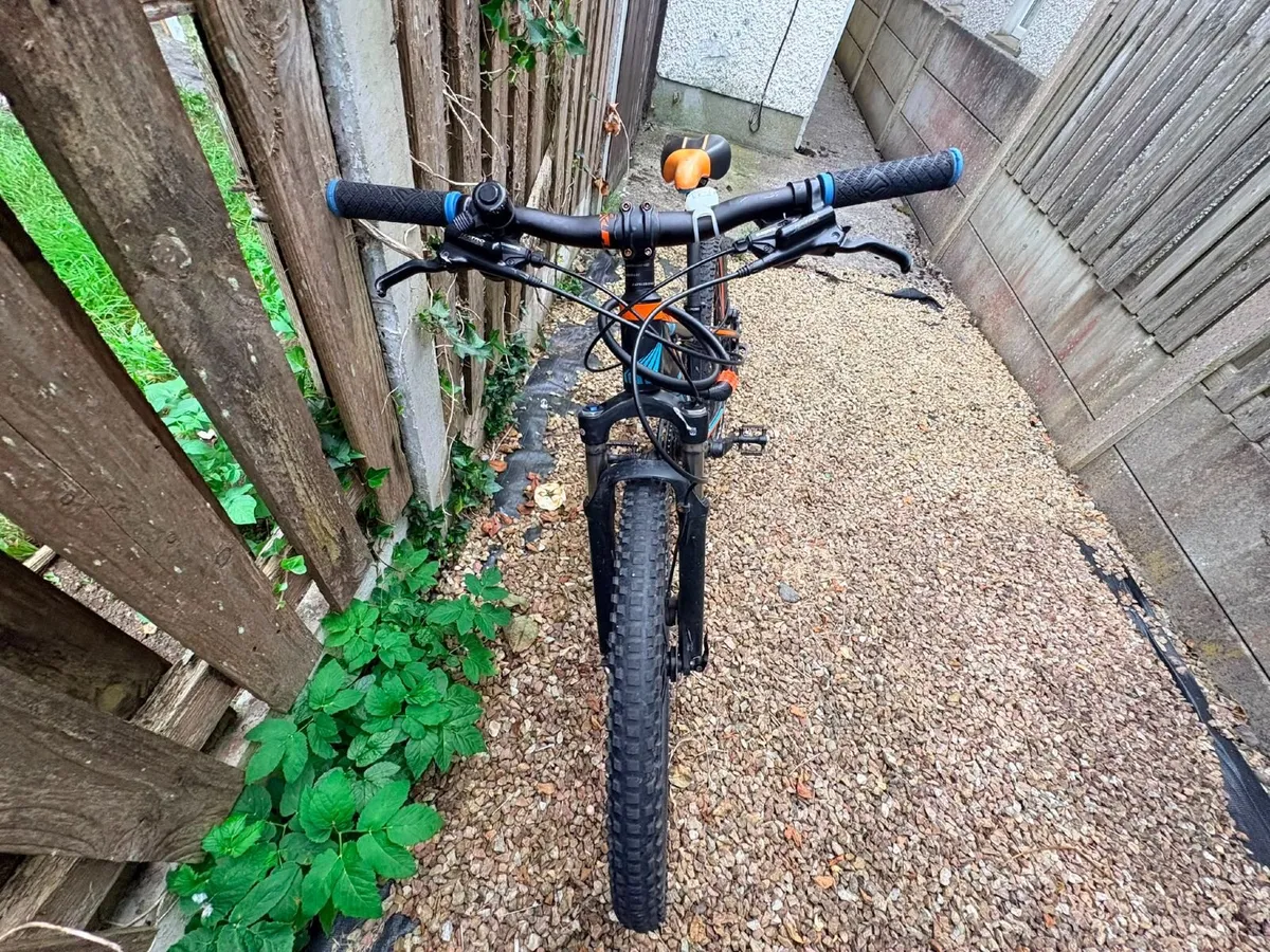 Bicycle - Image 4