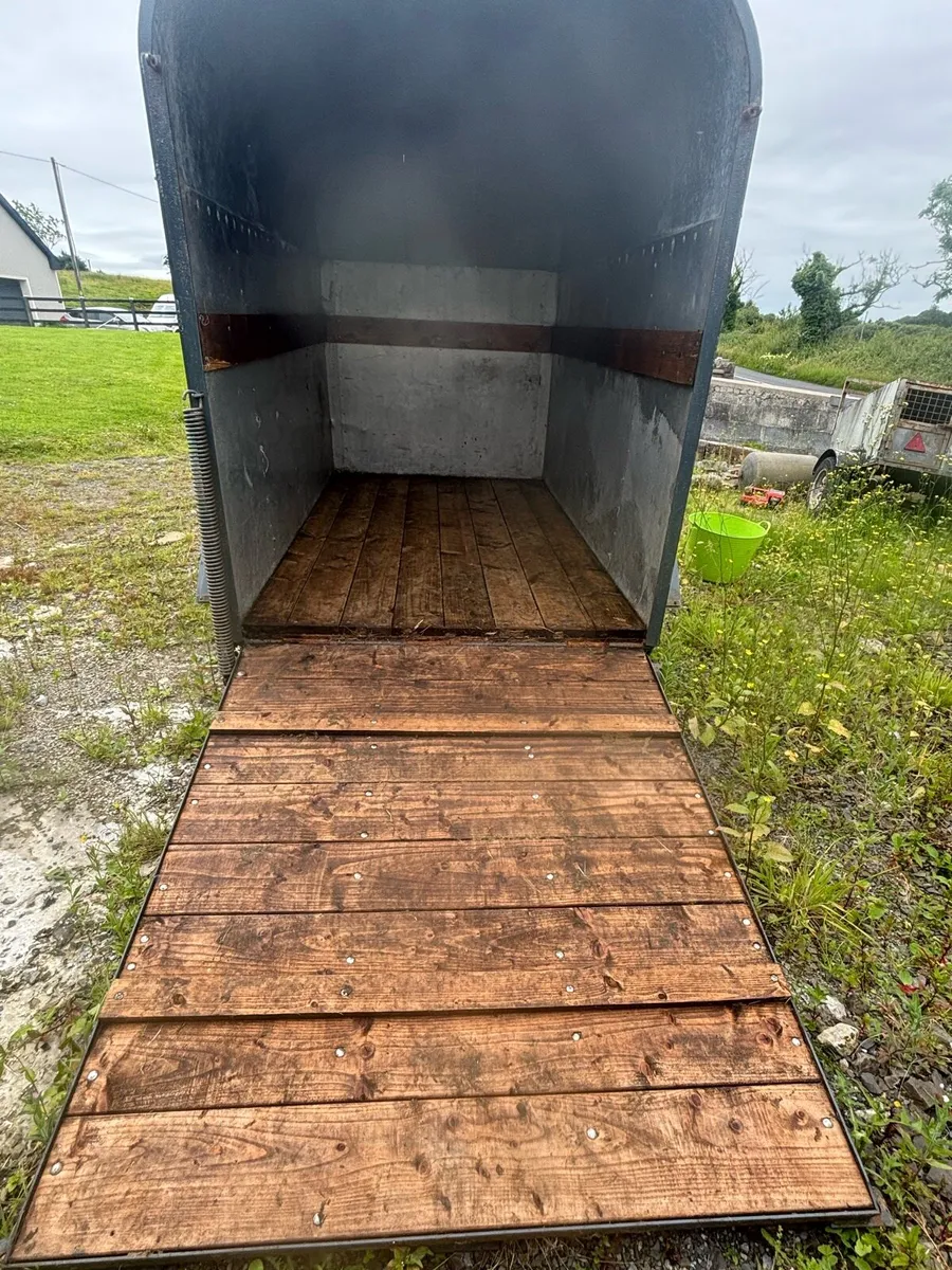 Cow box - Image 1