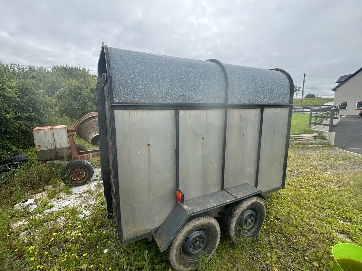 Cow box - Image 2