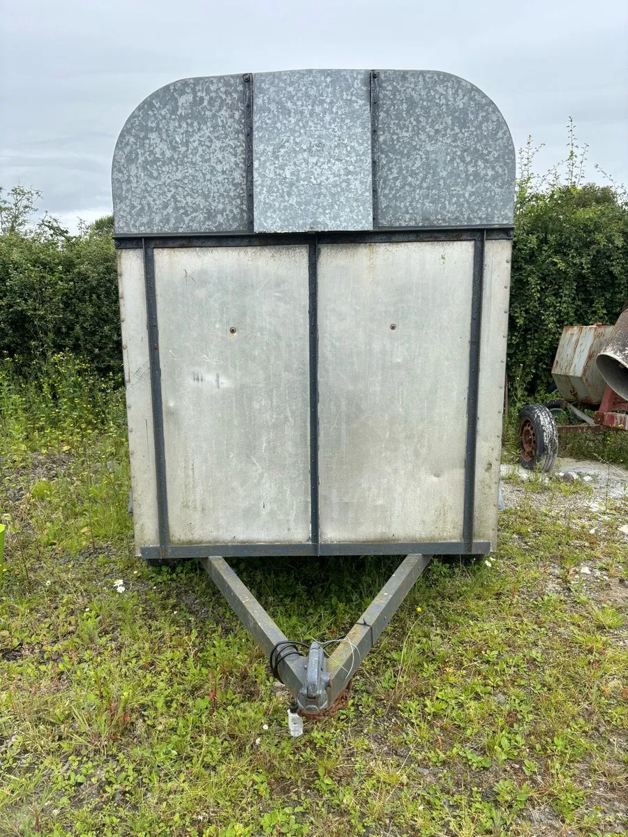 Cow box - Image 3