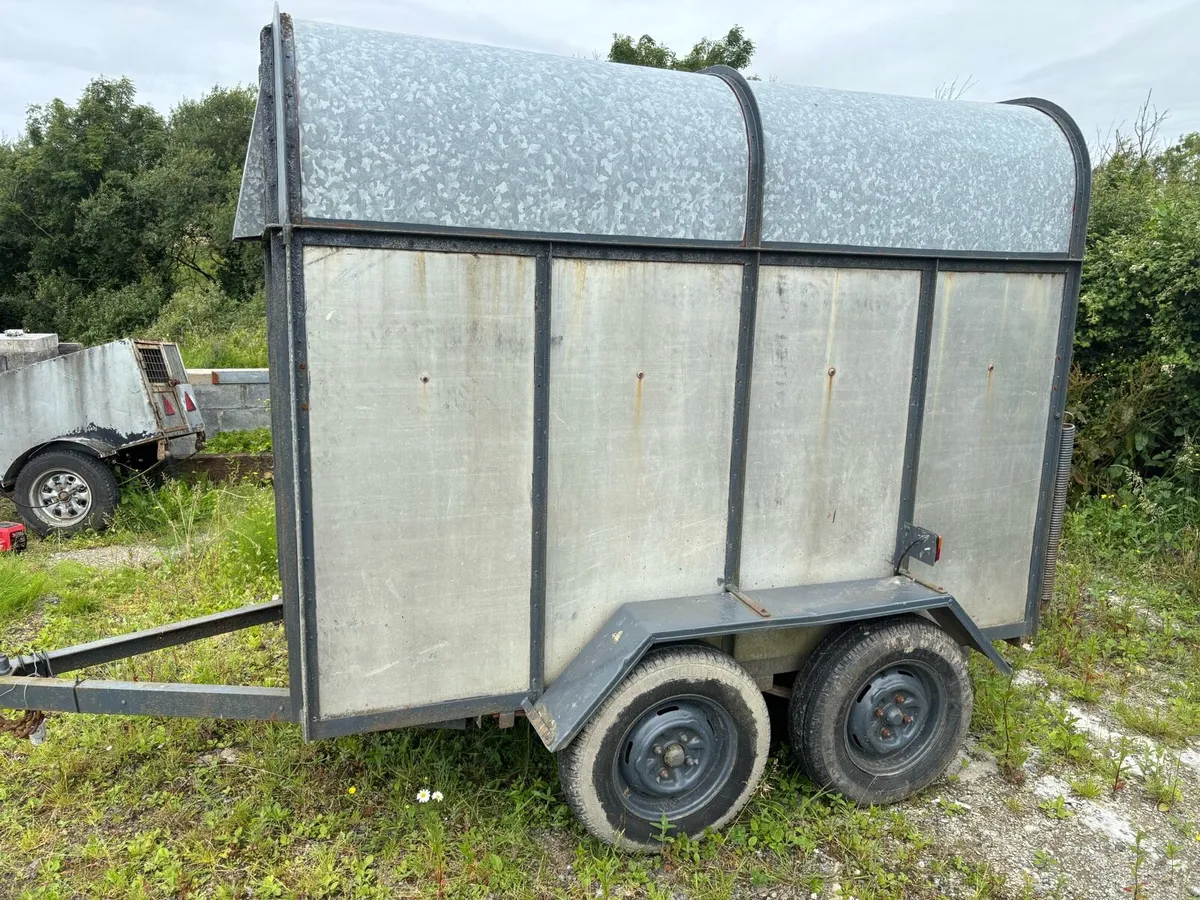 Cow box - Image 4