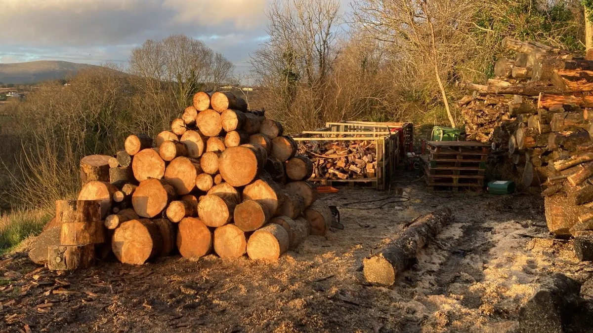 Firewood - Image 4