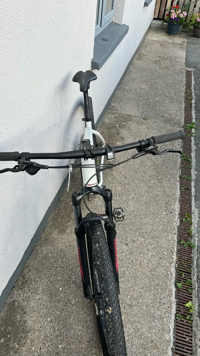 Orbea Mountain bike - Image 2