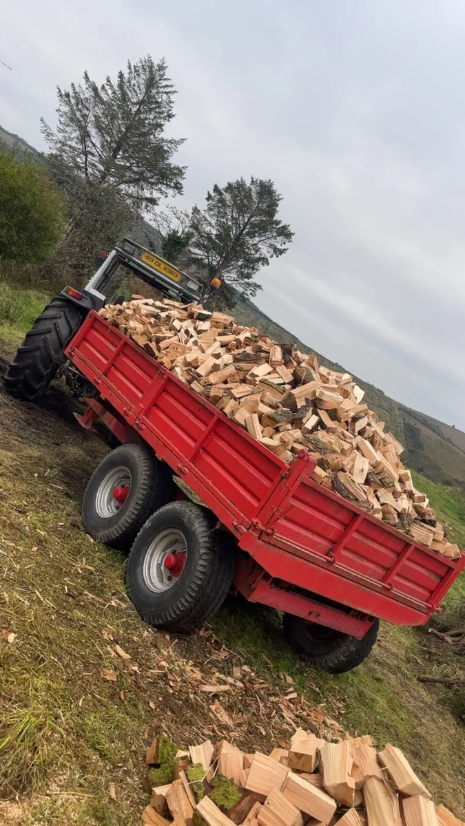 Firewood - Image 1