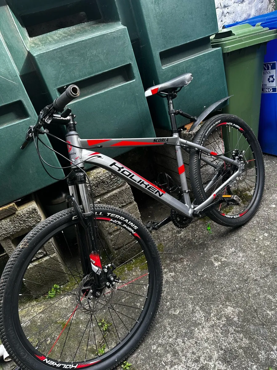 Mountain bike - Image 1