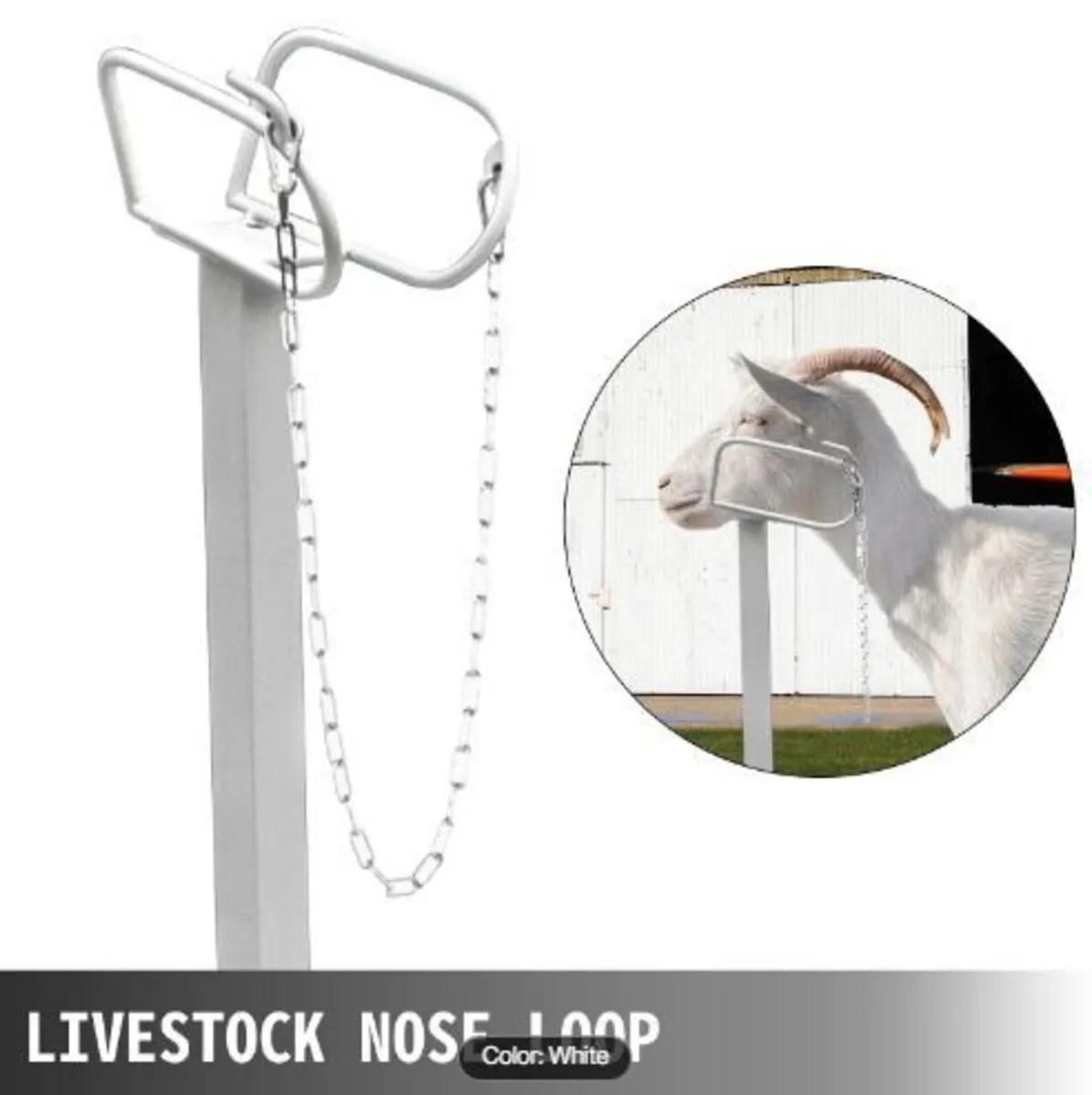 Livestock Stand 51x23 inches - Image 2