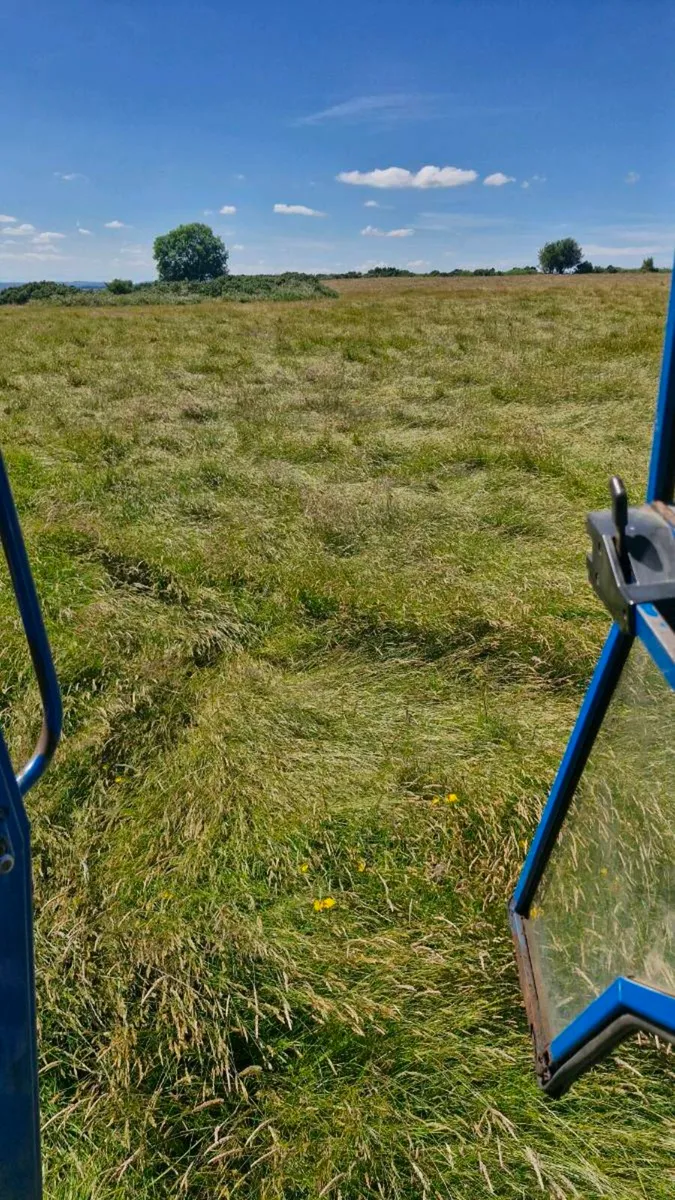 Hay