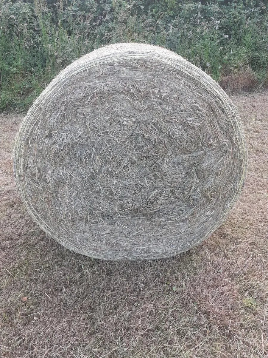 Hay round and small squares - Image 2