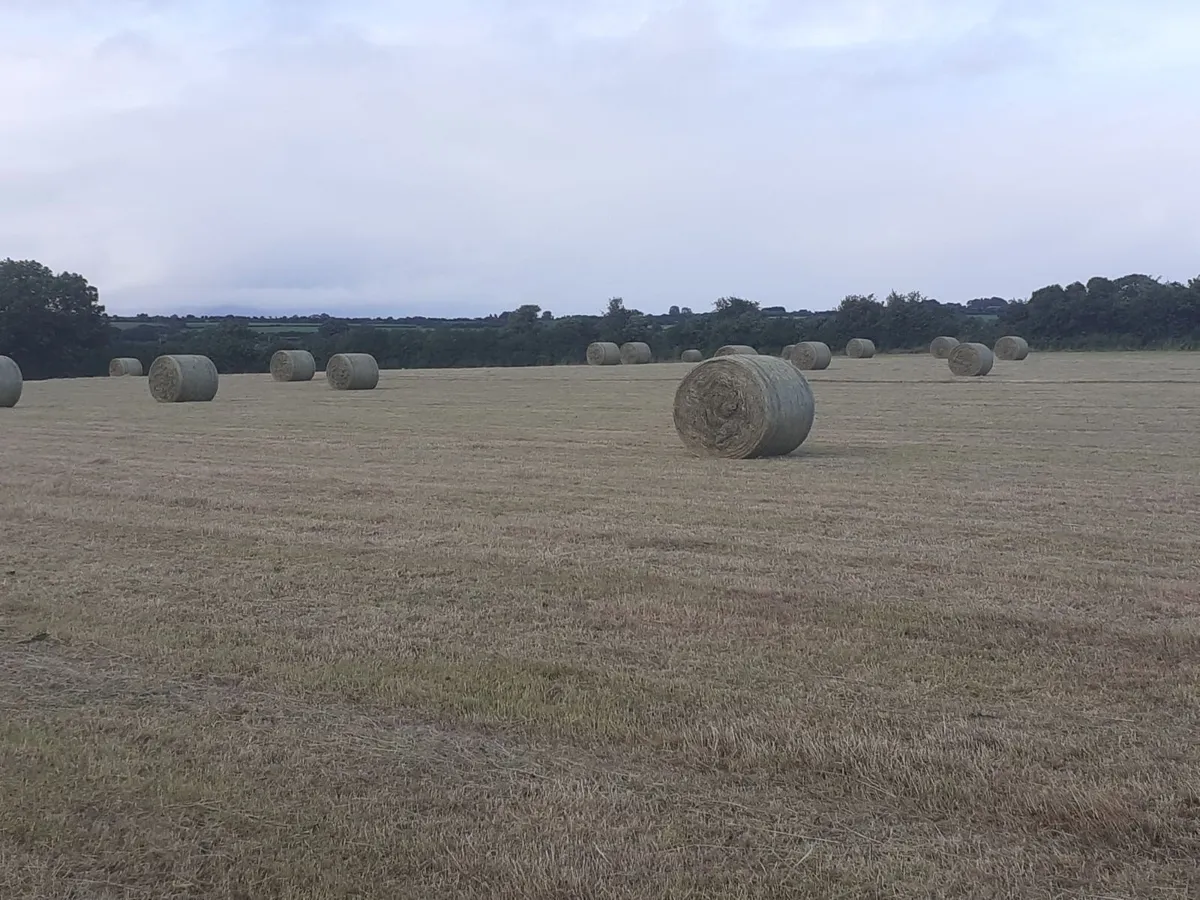 Hay round and small squares - Image 1