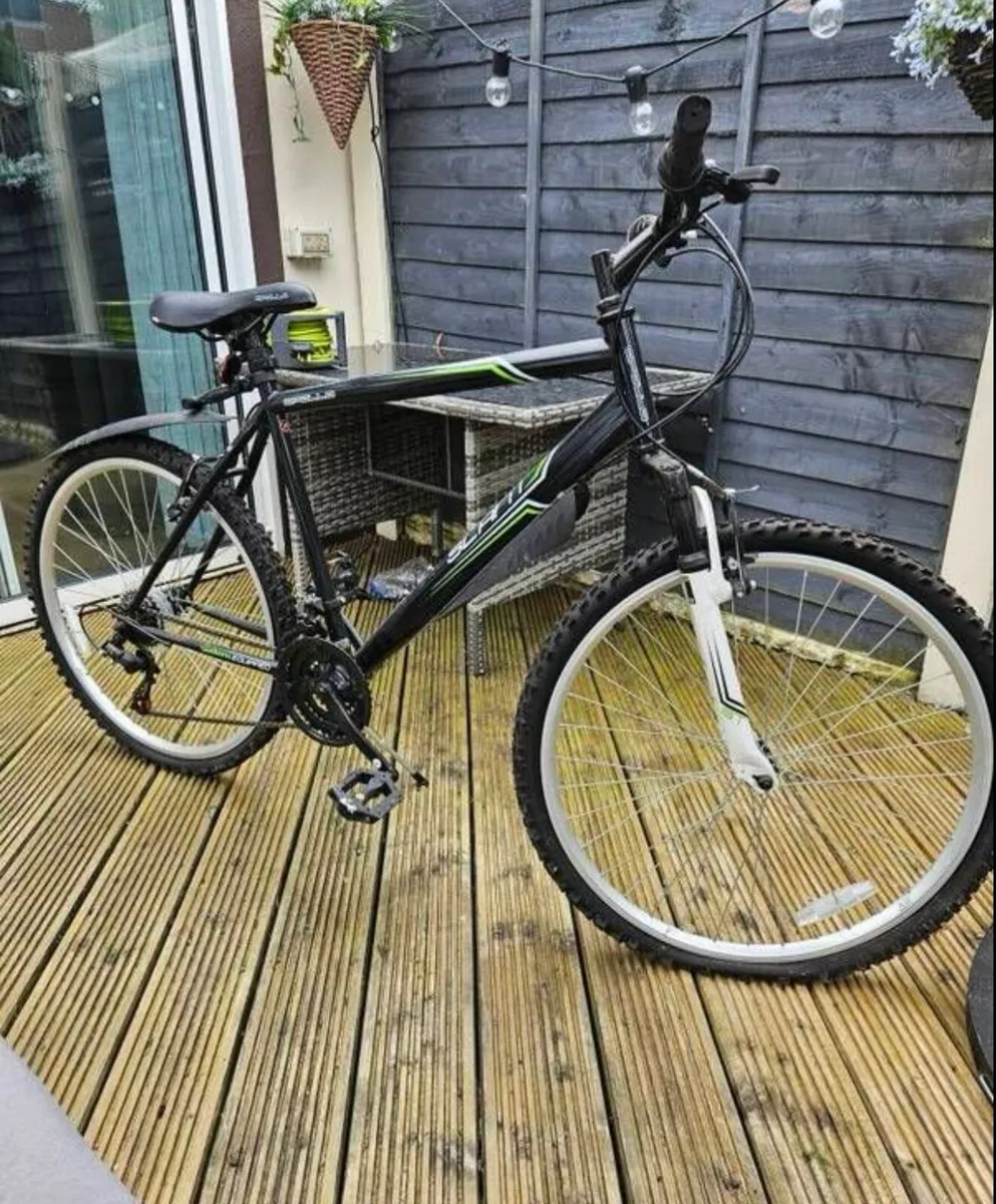 Adult bike - Image 1