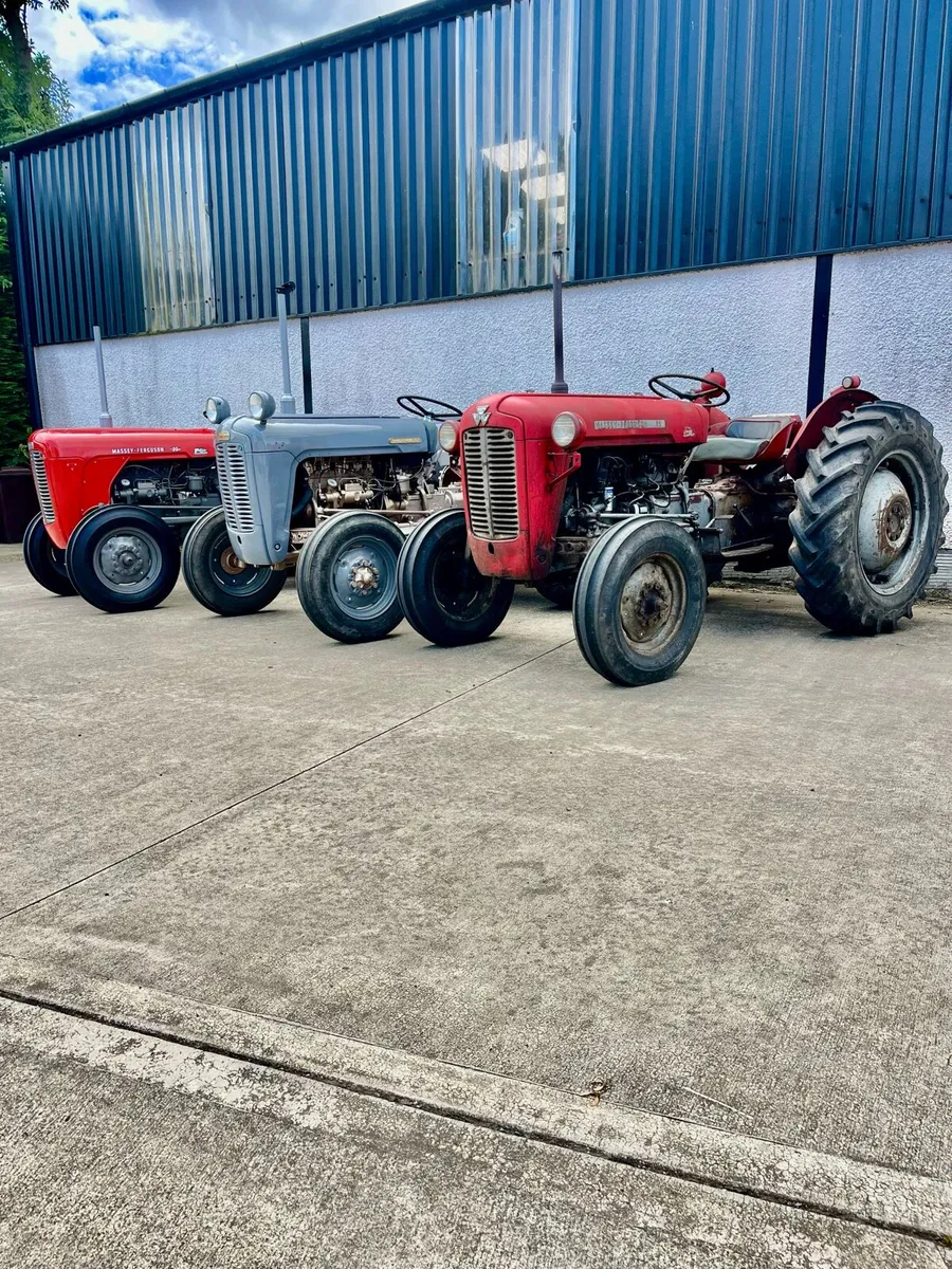 Massey Ferguson 35 Tractors - Image 1