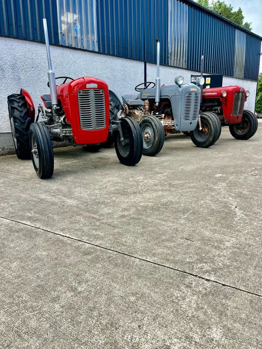 Massey Ferguson 35 Tractors - Image 2