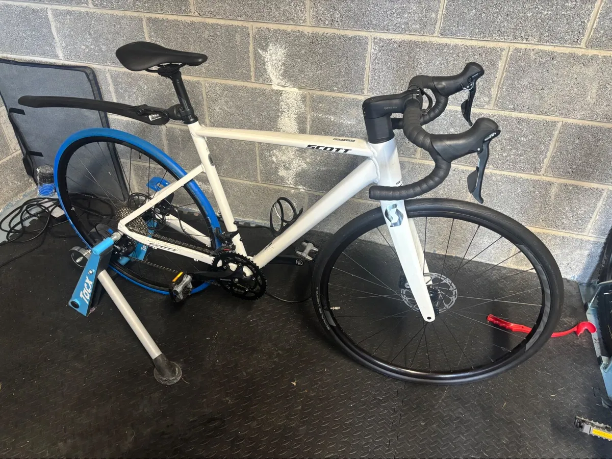 Adult Bike - Image 1
