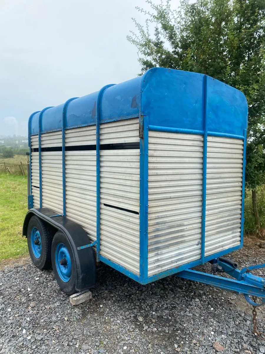 Cattle and sheep trailer - Image 1