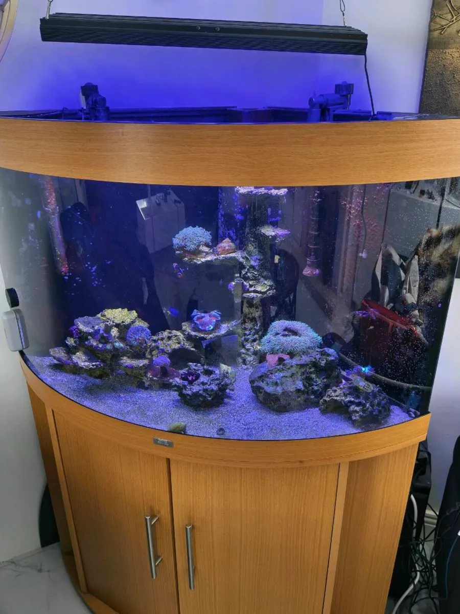 Juwel Trigon Marine/Reef Aquarium Complete Setup - Image 1