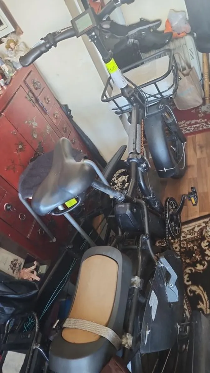 Ebikes Rad Power Bikes Mini 4 Cargo Famaly. - Image 3