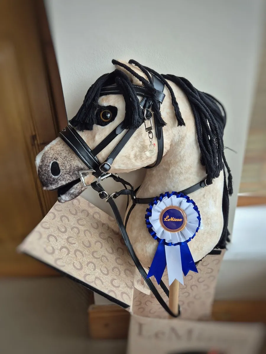 LeMieux Dream Hobby Horse - Image 1