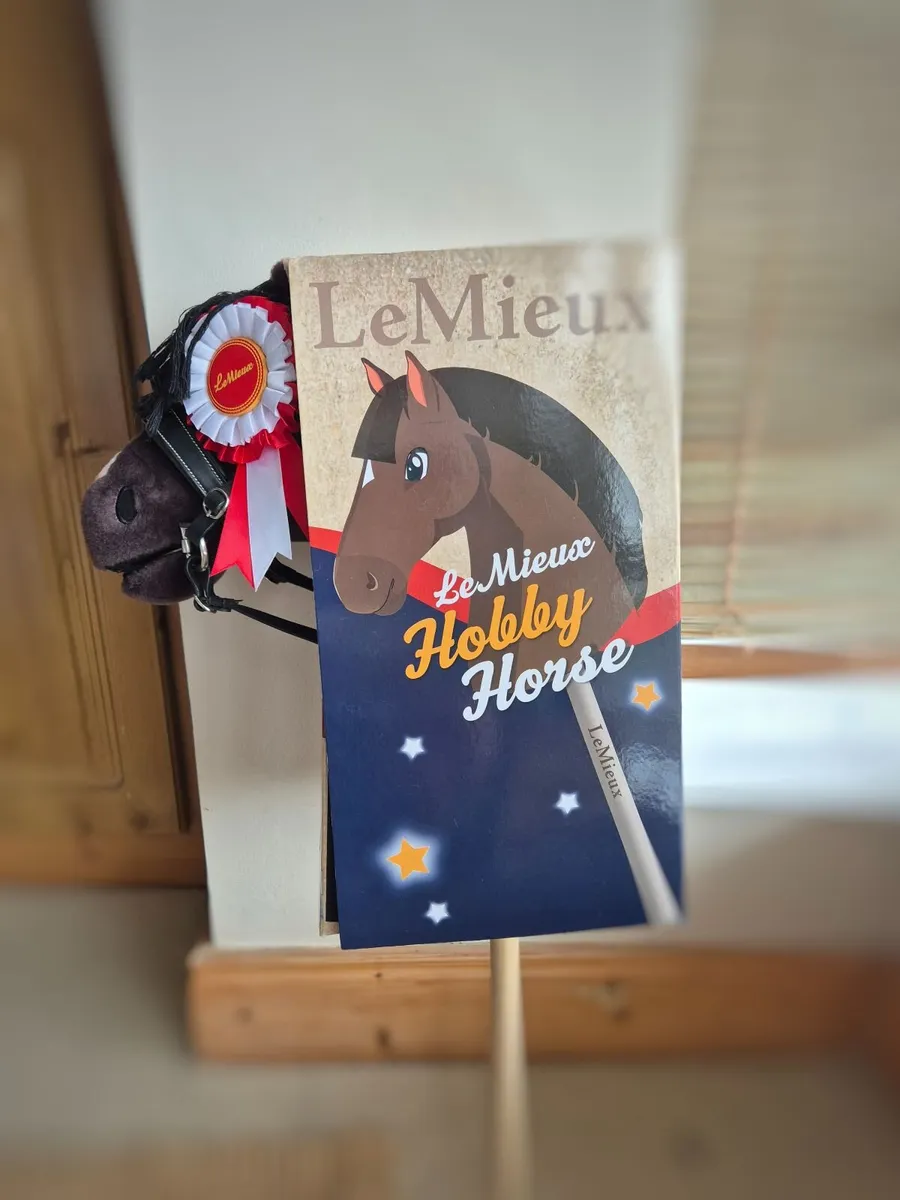 LeMieux Dream Hobby Horse - Image 4