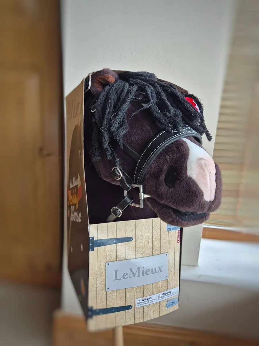 LeMieux Dream Hobby Horse - Image 2
