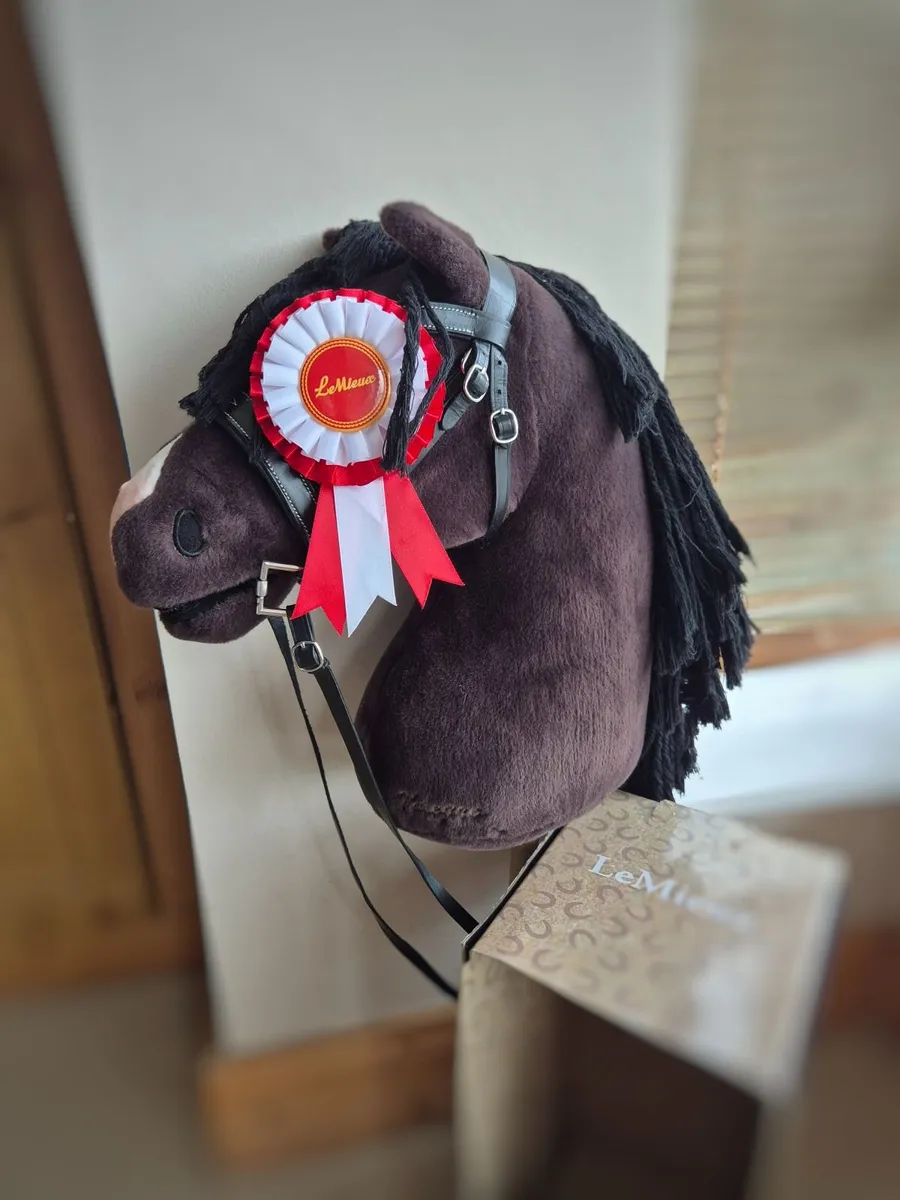 LeMieux Dream Hobby Horse - Image 1