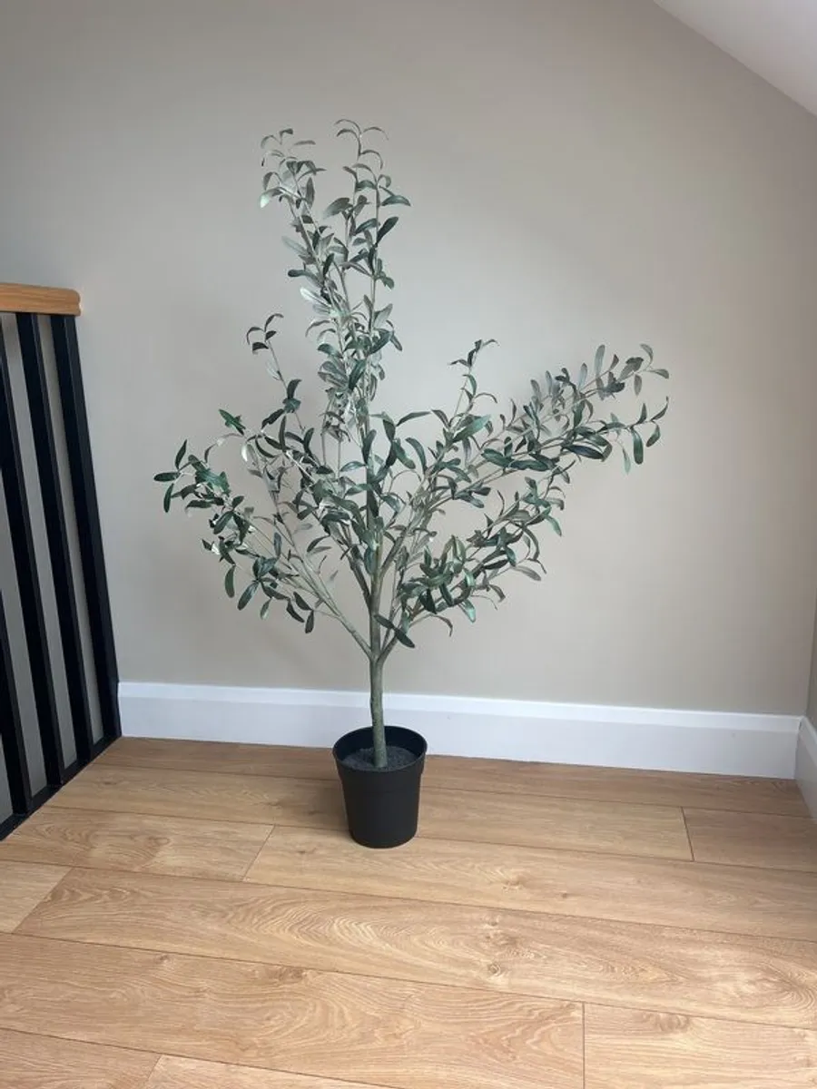 plants - Image 2