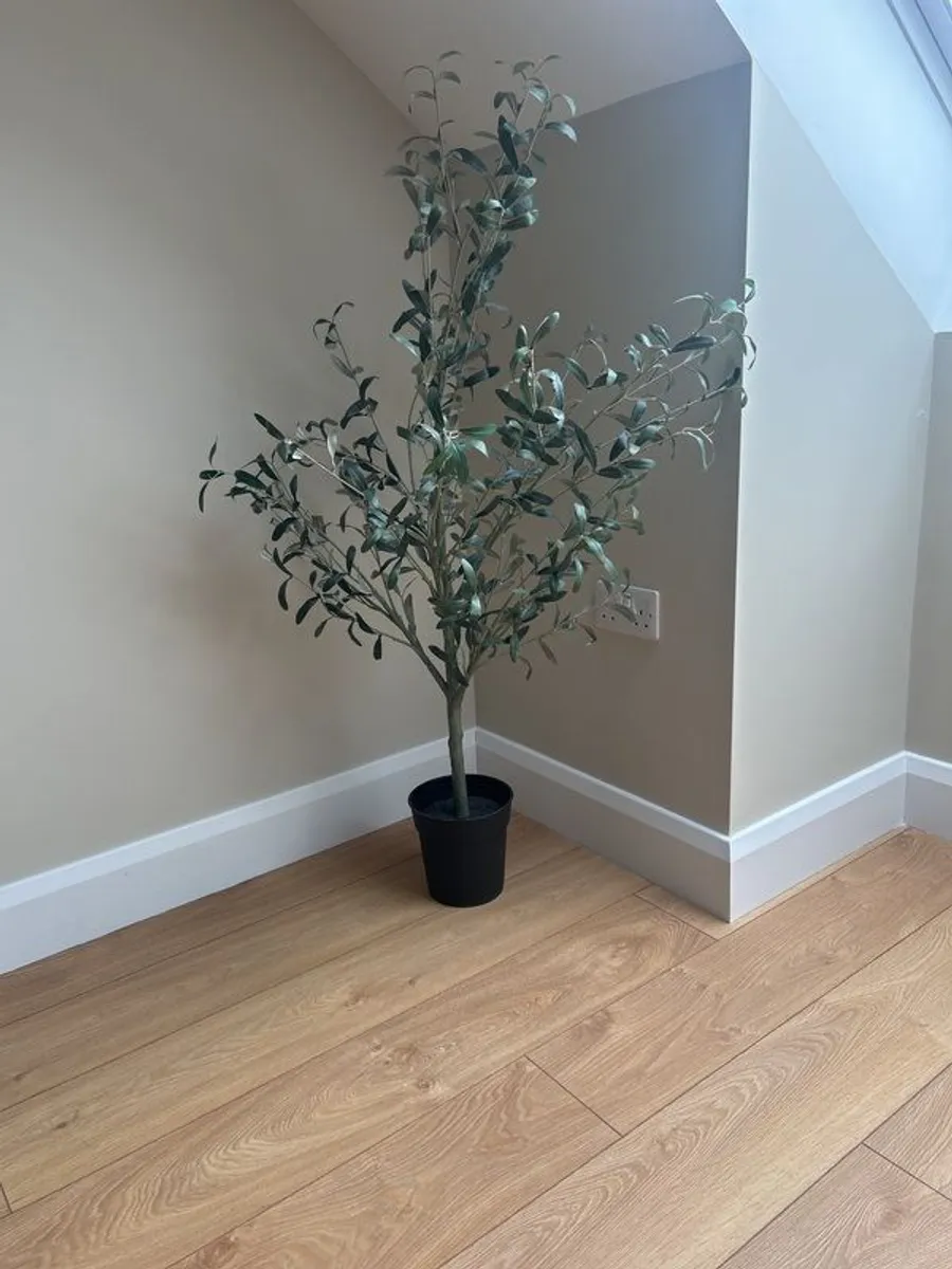 plants - Image 1