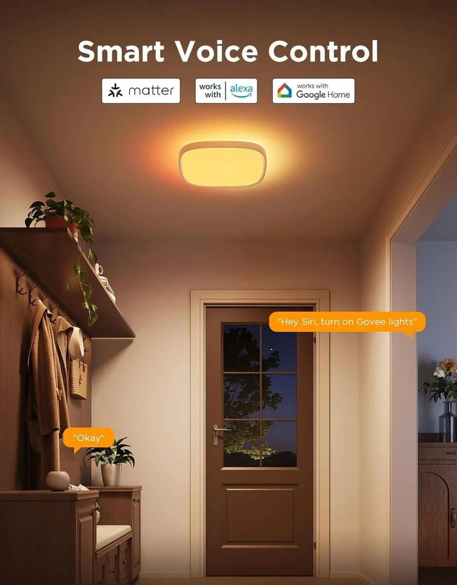 Govee LED Ceiling Light Smart Rgbic Lights 2400lm - Image 3