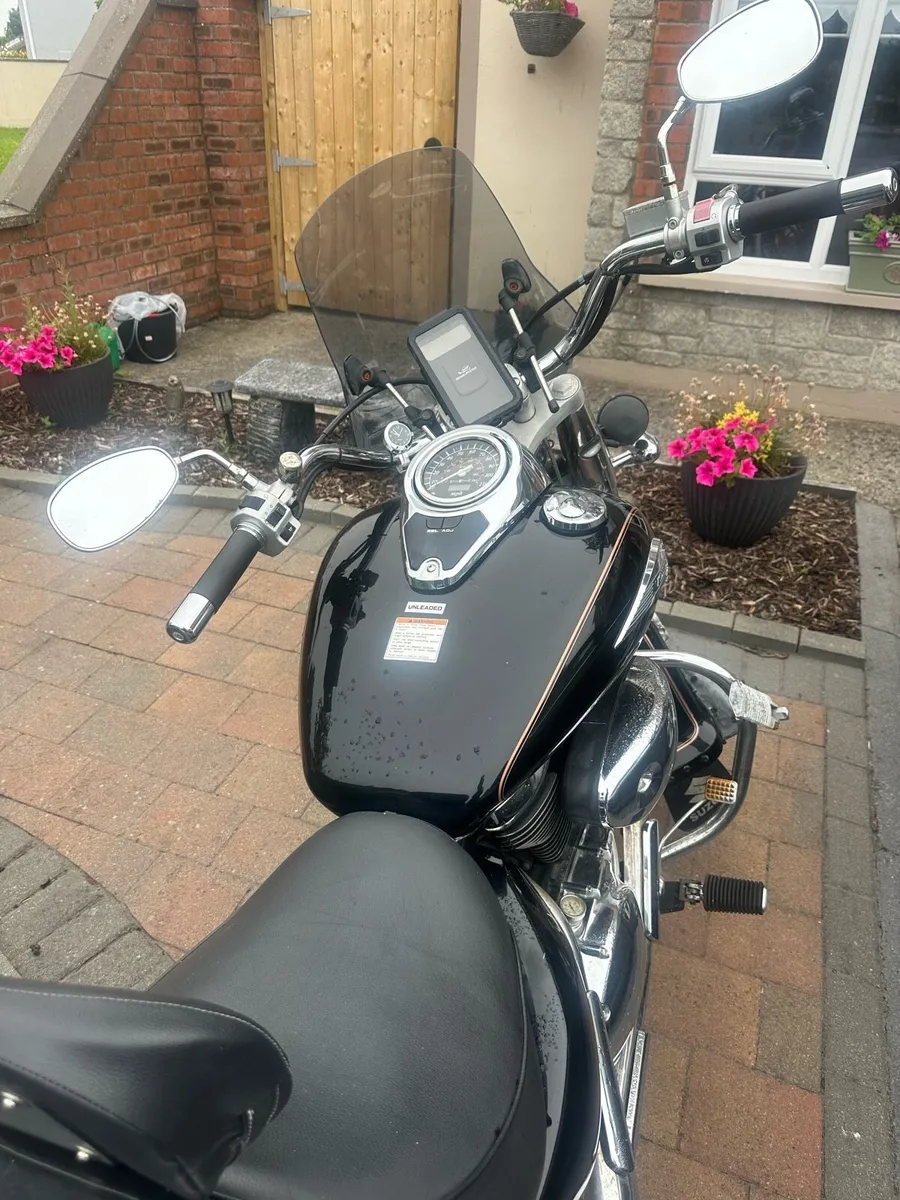 Suzuki VL 800 - Image 3