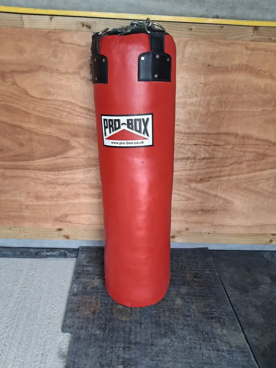 Boxing bag