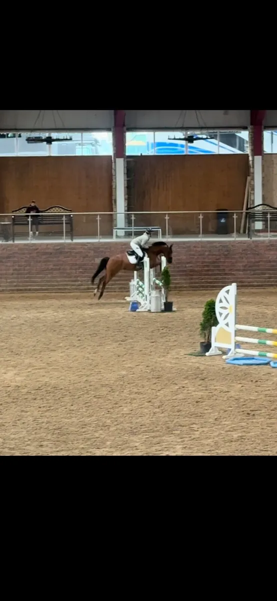 Horses - Image 3