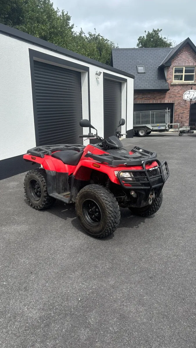 Arctic cat - Image 3